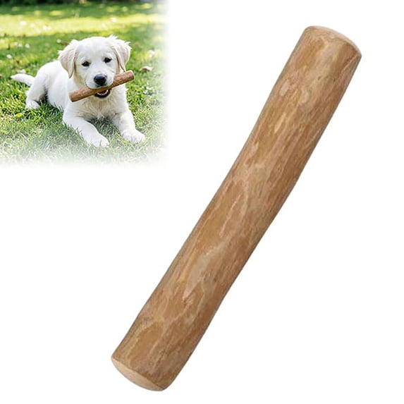 Coffee Wood Dog Chew Stick, Tough Chew Toy for Aggressive Chewers, Dog Teething Toy for Puppies, Coffee Tree Stick for Small Dogs, Chew Stick for Chewing Training, Pack of 1