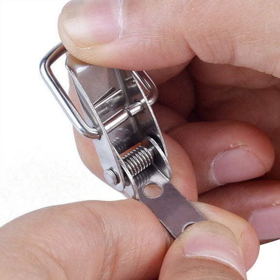 Cogfs 4 Pcs Stainless Steel Spring Loaded Clamp Clip Case Box Latch Catch Toggle