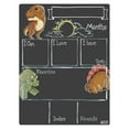 thumbnail image 1 of Cohas Dinosaur Theme Baby Milestone Chalkboard, 12 by 16 inches, No Marker, 1 of 8