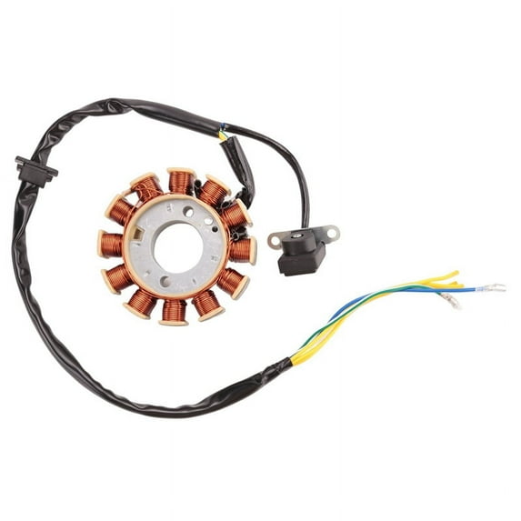 Coil 12 Pole Stator DC Ignition for GY6 125Cc 150Cc