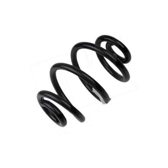 Coil Spring - Compatible with 2001 - 2005 BMW 325i Sedan 2002 2003 2004