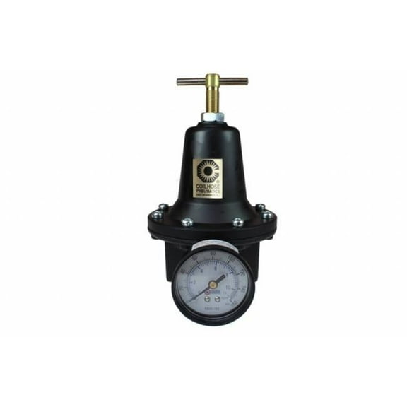 Coilhose Pneumatics 166-8804GH 0.5 in. Regulator With Gauge 0 - 200 Psi