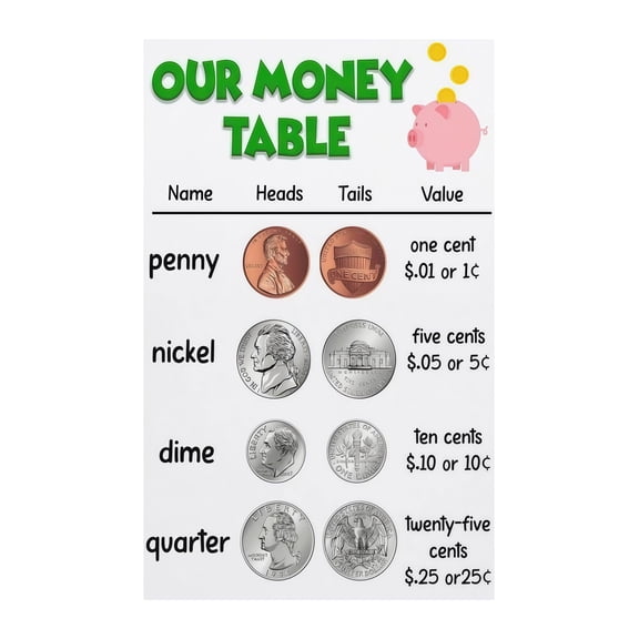 Coin and Bill Recognition Poster Money Learning Chart for Kids US Currency Educational Wall Art for Preschool Homeschool and Classroom Decor