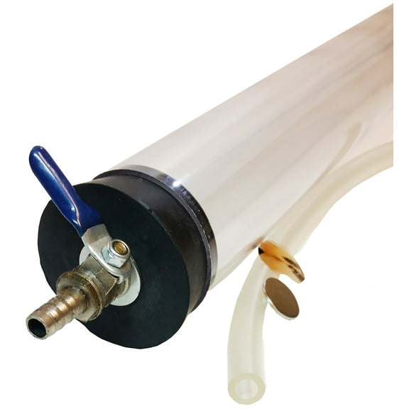 Coin and Feather Demonstration for Physical Science