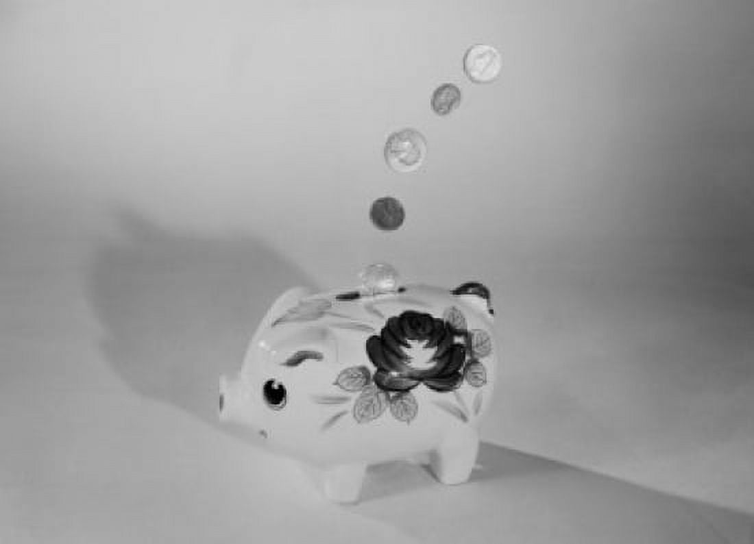 Coins falling into piggy bank Canvas Art - (24 x 36)