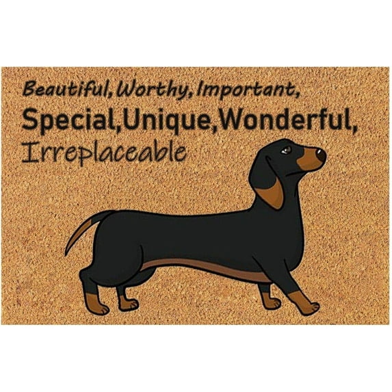 Coir Mat Door Mat Outdoor Mat for Entryway Outside Yard Home Decoration Door Mat - Novelty Designs Welcome Doormats Dachshund Coco Coir Outdoor Mat Natural Coir Doormat with Non-Slip Backing Sale