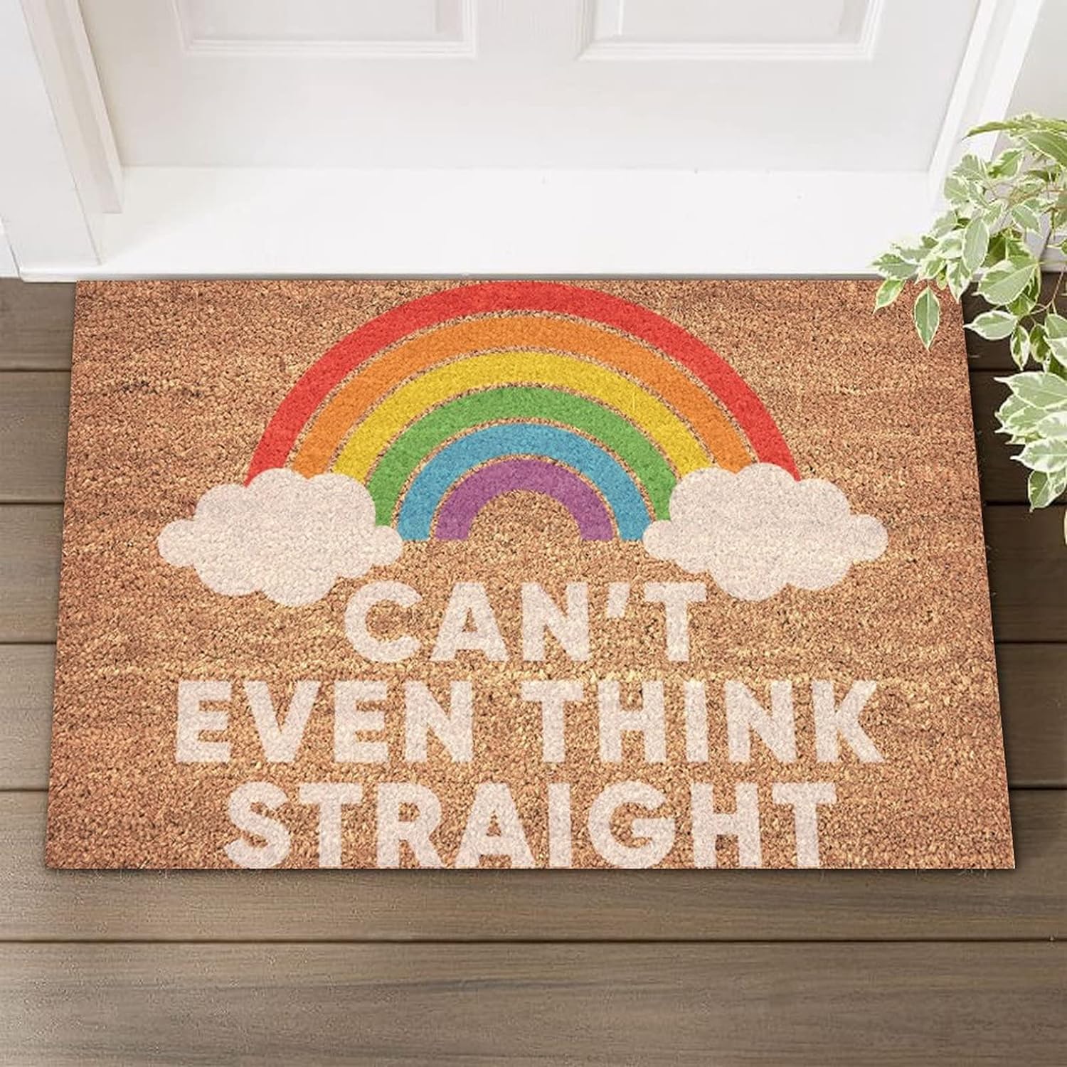 Coir Mat Easy to Clean Can't Even Think Straight Rainbow Inside Door