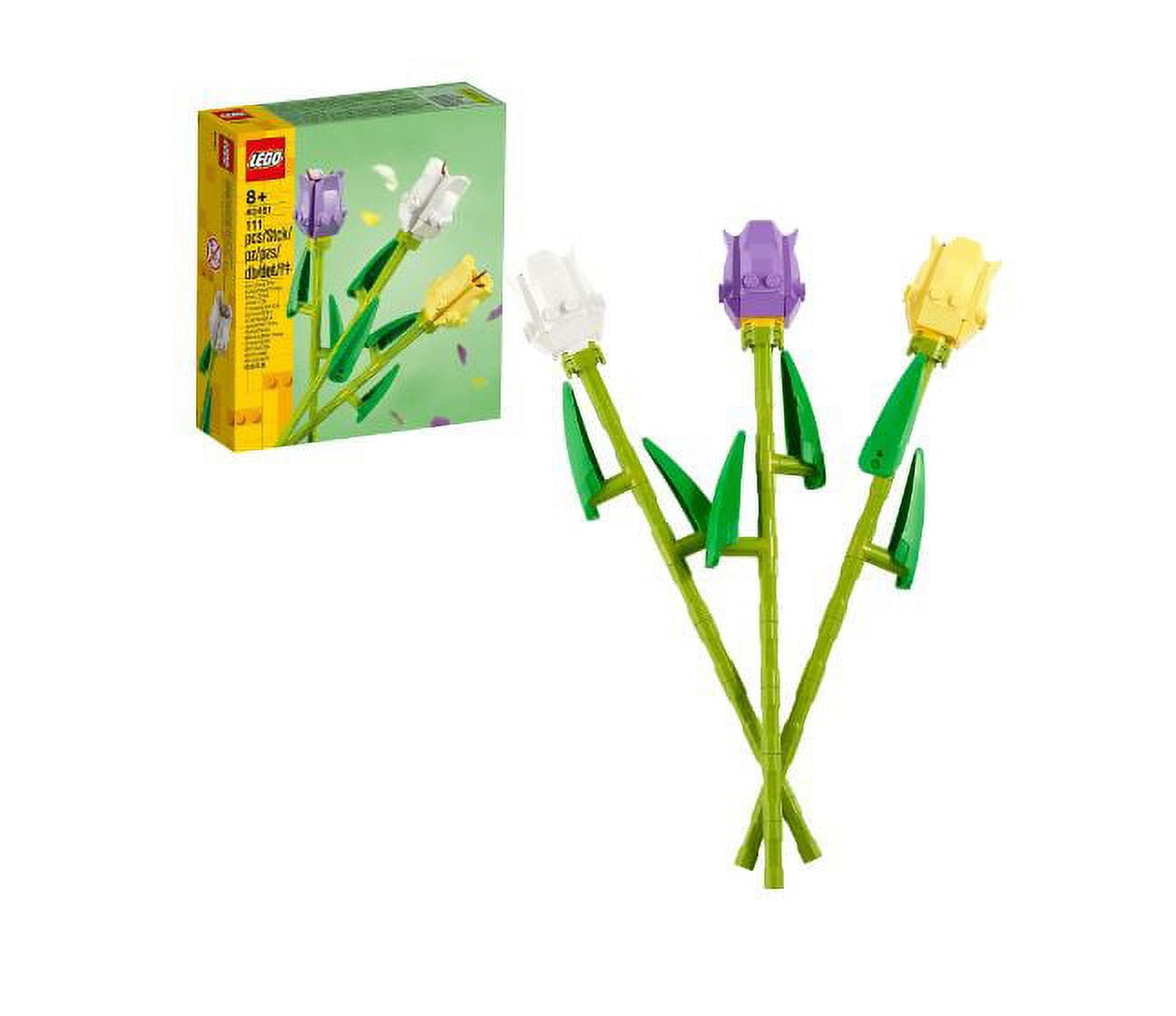 Colace® Regular Strength Stool Softener for Constipation Relief, 100mg Capsules, 60 ct