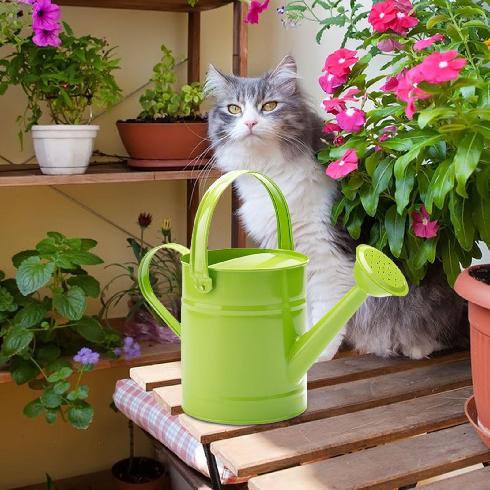 Colaxi Garden Watering Can Leakproof Flower Bed Garden Water Pot Gardening Water Can for Lawn Backyard Farmhouse Office House Flower Green