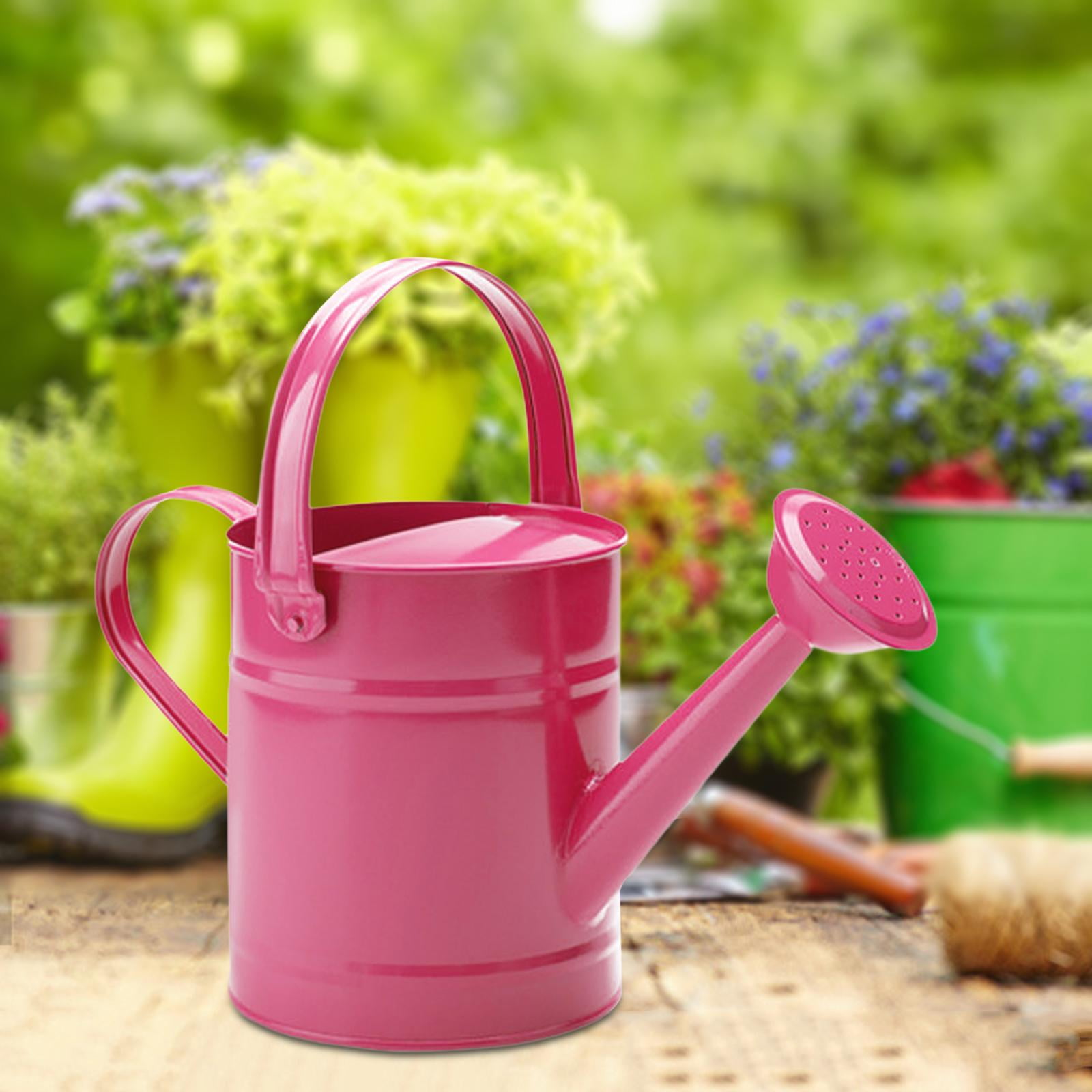 Colaxi Garden Watering Can Leakproof Flower Bed Garden Water Pot Gardening  Water Can for Lawn Backyard Farmhouse Office House Flower Pink - Walmart.com