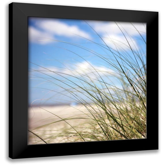 Colberg, Lisa 20x22 Black Modern Framed Museum Art Print Titled - Beautiful Day