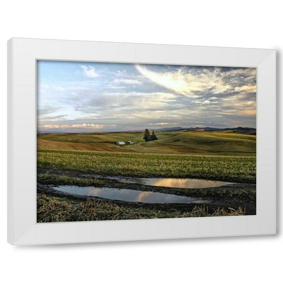 Colby Chester 4x14 White Modern Wood Framed Wall Art Titled - Reflections