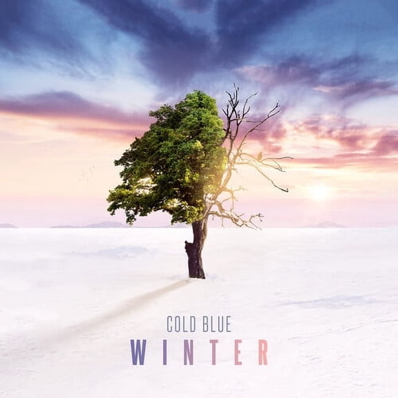 Cold Blue - Winter - Electronica - CD