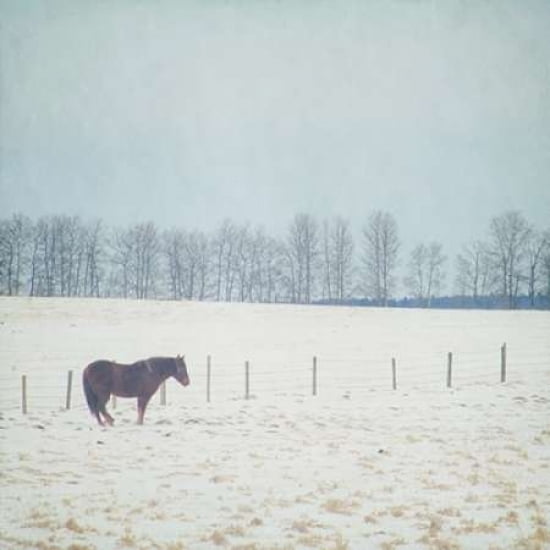 Cold Cold Heart Canvas Art - Roberta Murray (24 x 24)