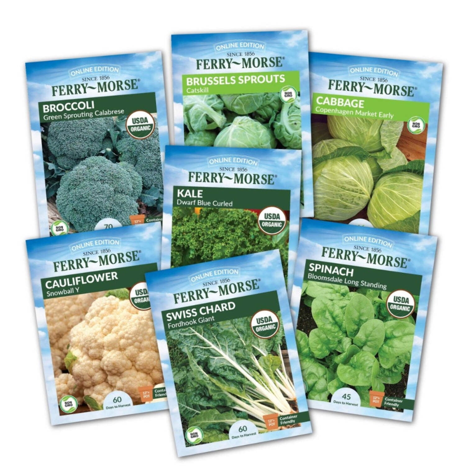 Ferry-Morse Cold Hardy Vegetable Seed Variety Pack - 7 Pack