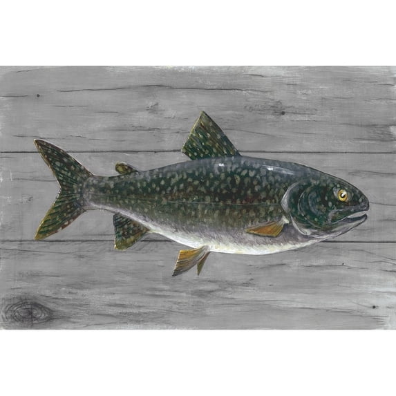 Cold Lake Beauty Poster Print by Arnie Fisk (24 x 36)