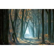 Cold Light Poster Print - Ellen Borggreve 36 x 24