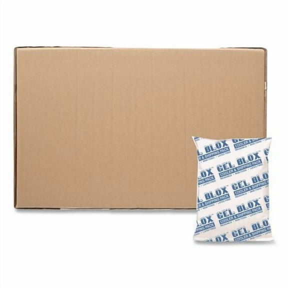 Cold Pack, 4 x 6, 96/Carton | Bundle of 2
