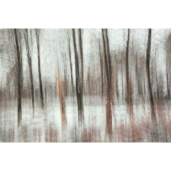 Cold Poster Print - Gustav Davidsson (36 x 24)