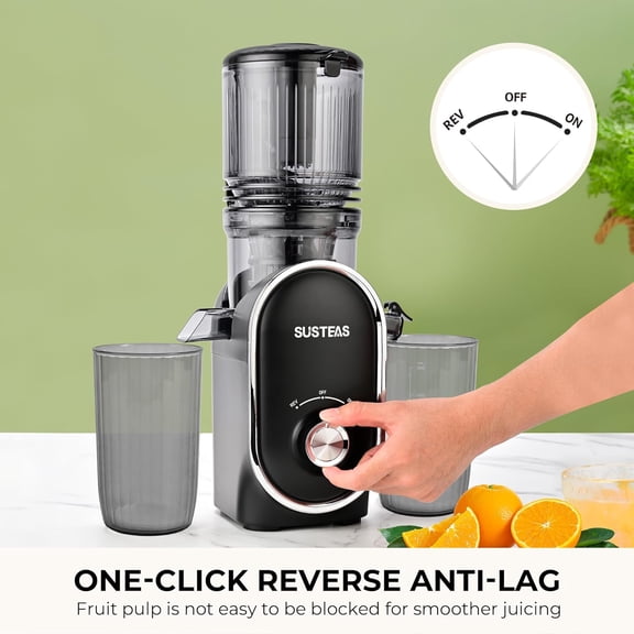 Cold Press Juicer 300W Large Feed Chute Easy Clean High Yield for Whole Fruits Vegetables