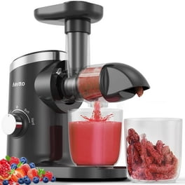 Electric Vegetable Masticating Juicer Machine Cold Press Slow