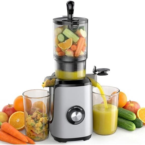 Cold Press Juicer Machines, Masticating Juicer with High Juice Yield, Reverse Function, Stops Oxidation and Easy to Clean for Vegetables & Fruits, Silver