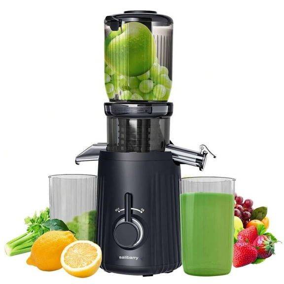 Cold Press Juicer, Slow Masticating Juicer Machines With 4.1" Large Feed Chute Fit Whole Vegetable & Fruit, Self Feeding Blender Easy To Clean, 98% Juice Purity,
