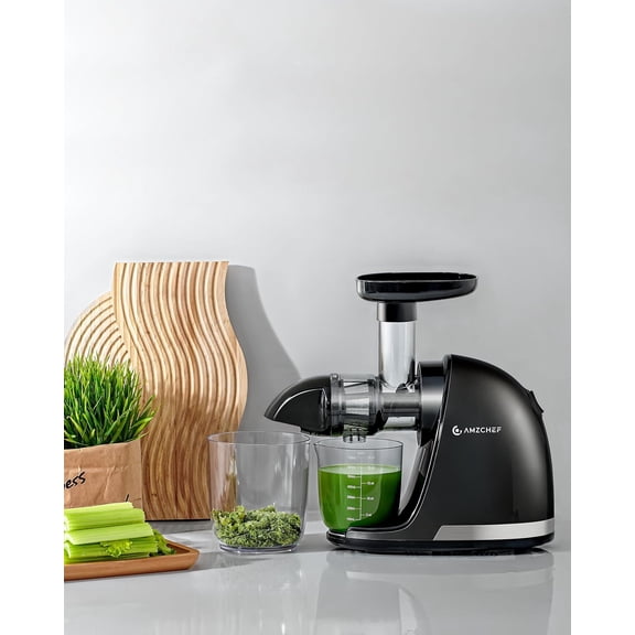 Cold Press Masticating Juicer for Whole Fruit and Vegetable - Slow Squeezer with 2 Cups, Extractor with Brush - Ebony