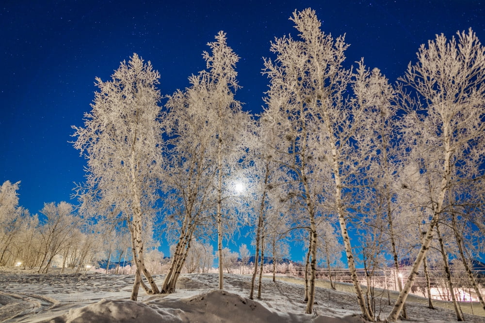 Cold winter in Lapland Sweden with temperatures -47 celsius Canvas Art - Panoramic Images (36 x 12)
