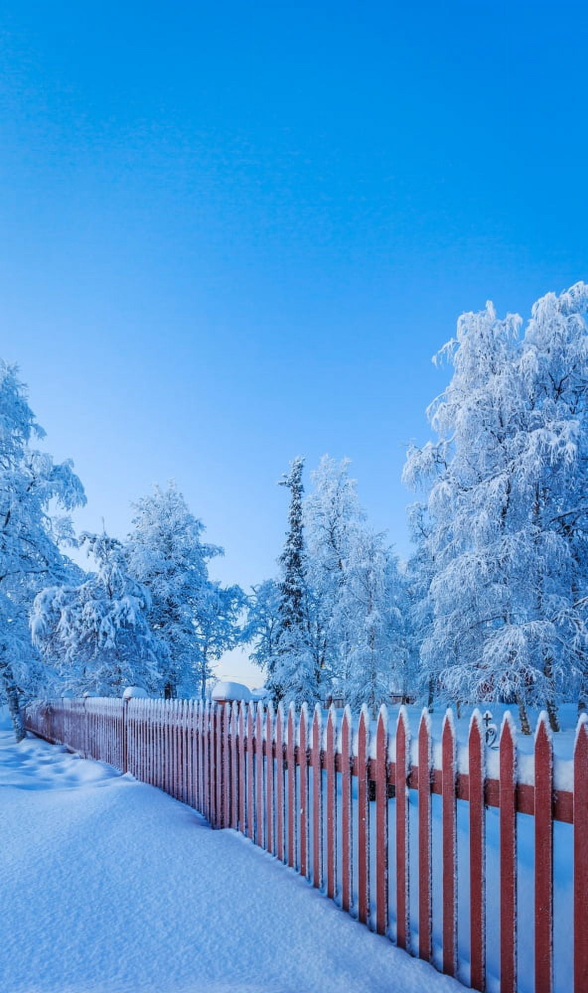 Cold winter with temperatures going down to -47 celsius Canvas Art - Panoramic Images (27 x 9)