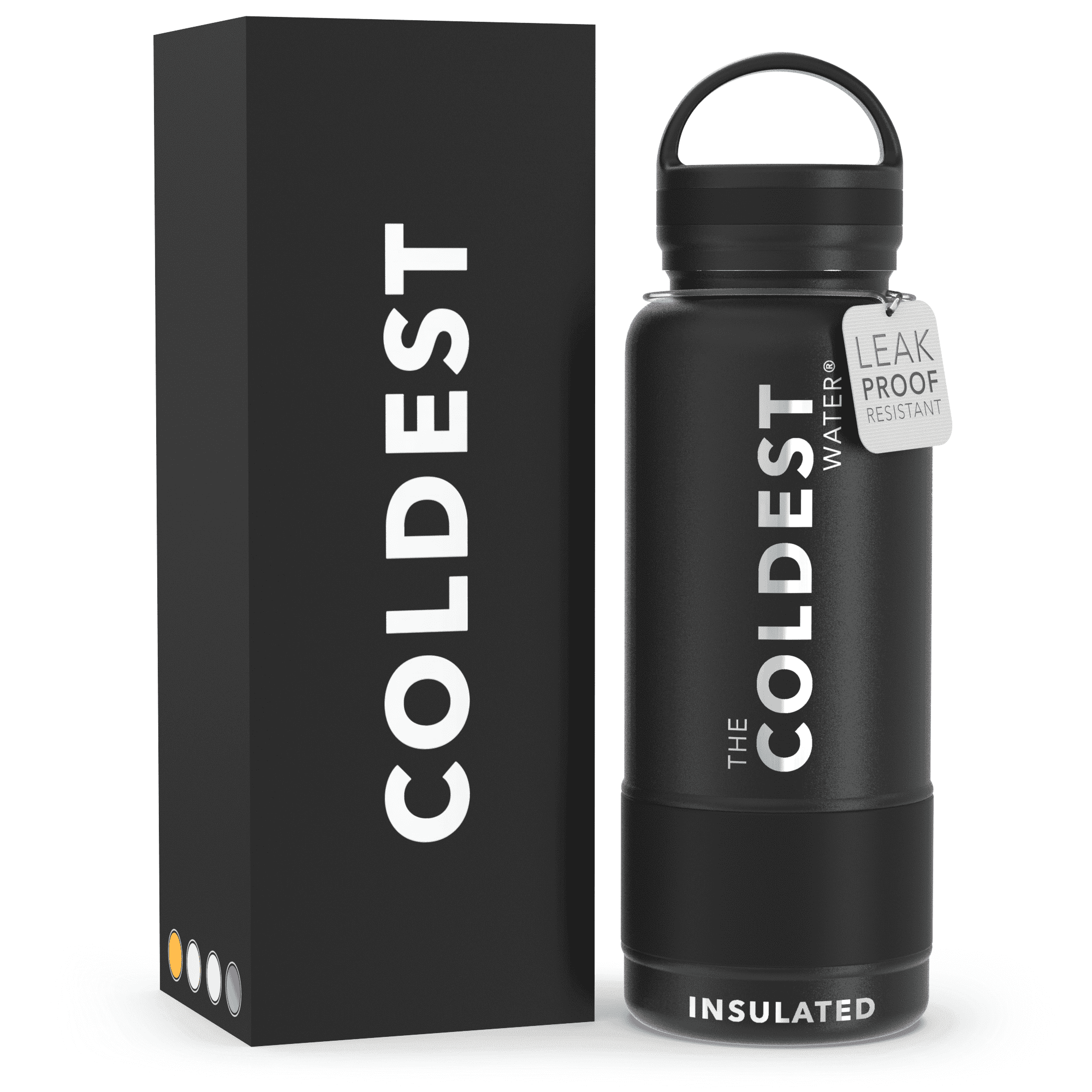 Insulated Stainless Steel Water Bottle with Handle Lid, Leakproof