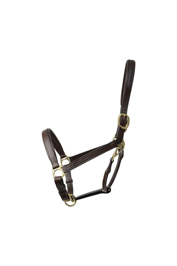 Leather Padded Head Collar