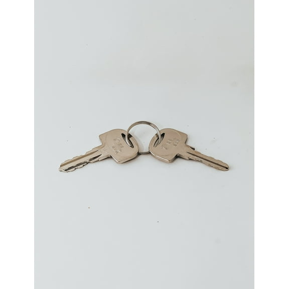 Cole Hersee 83451-702-BX Ringed Key