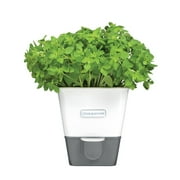 Cole & Mason Burwell Self-Watering Herb Plant Keeper Container Pot, White Steel 5" x 5"
