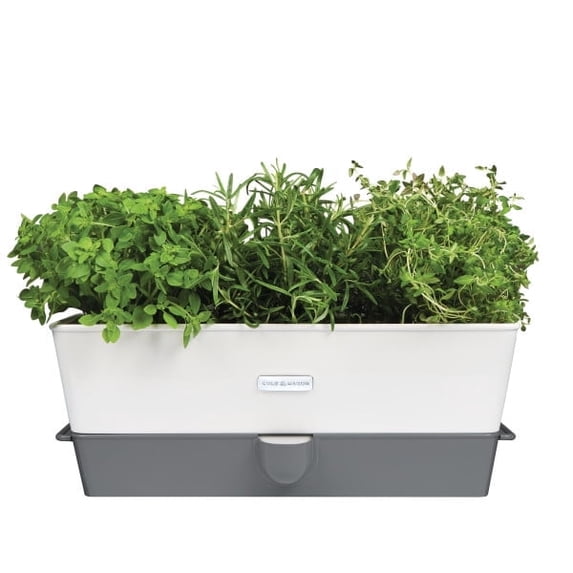 Cole & Mason Burwell Self-Watering Potted Herb Keeper Triple