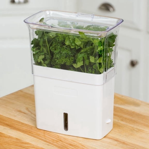 Cole & Mason Herb Saver Container with Dividers | Clear Acrylic Pod for Fridge | Keeps Herbs Fresh Longer