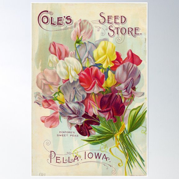 Cole’S Seed Store – Vintage Botanical Advertisement Print Poster Wall Art, Modern Wall Decor For Living Room Bedroom, 8x12 UNFRAMED