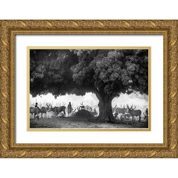 Cole, Trevor 24x17 Gold Ornate Wood Framed with Double Matting Museum Art Print Titled - The Mango Tree