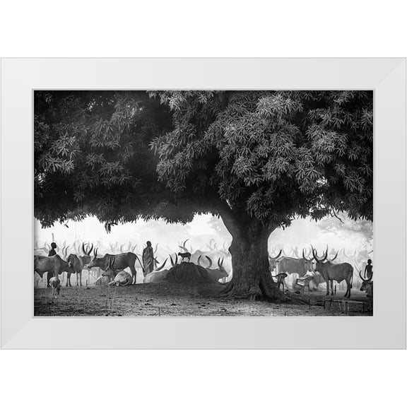 Cole, Trevor 24x17 White Modern Wood Framed Museum Art Print Titled - The Mango Tree