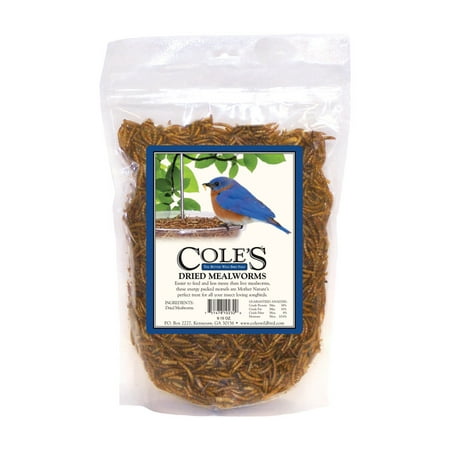 DRIED MEALWORM 9.15OZ (Pack of 1)