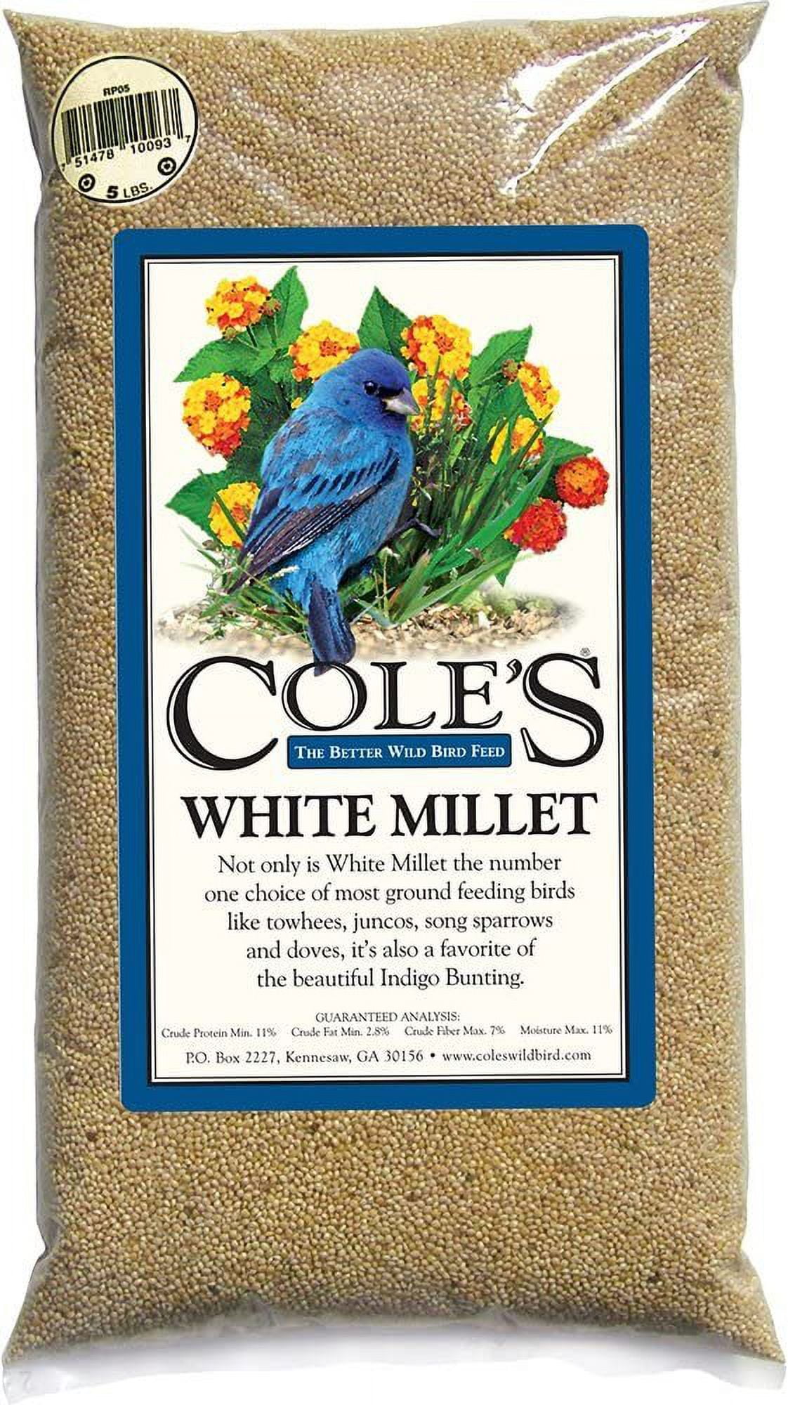 White Millet Bird Seed