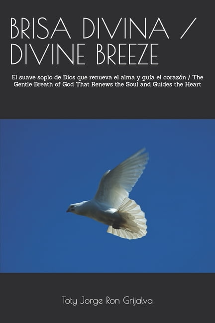 ColecciÃ³n Camino de OraciÃ³n Brisa Divina / Divine Breeze: El suave soplo de Dios que renueva el alma y guÃ­a el corazÃ³n / The Gentle Breath of God Th, (Paperback)