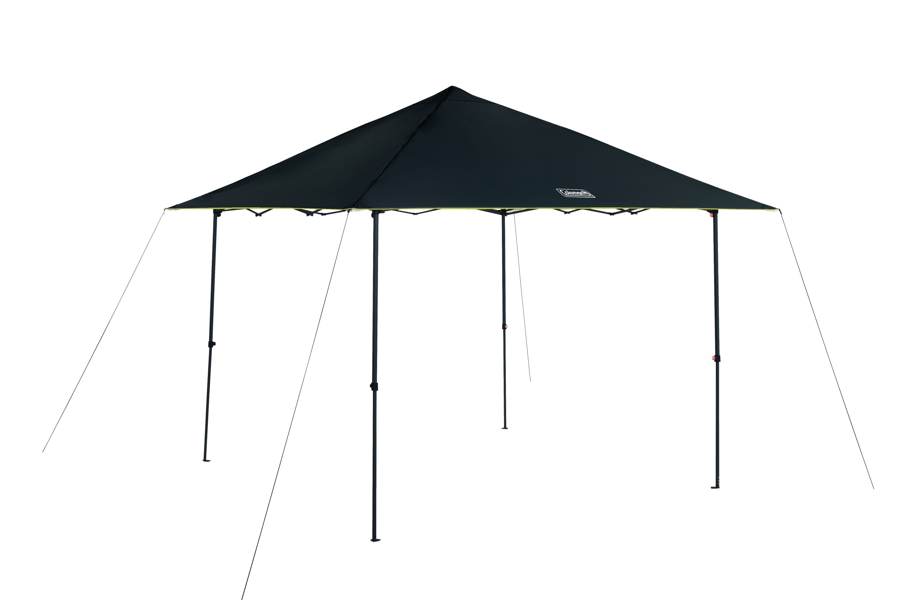 Canopy coleman hotsell