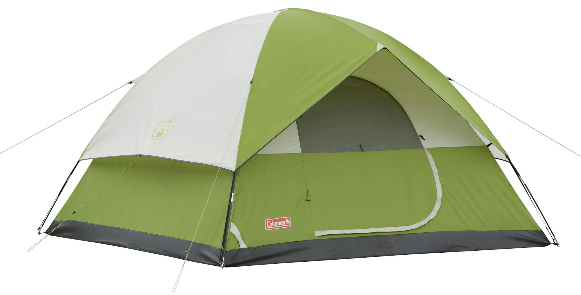 Palm Green 2-Person Dome Camping Tent with Carry Bag