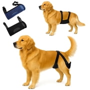 Colenumone 2 Pack Dog Nappies Female and Male with 30 Detachable Absorbent Pads, Reusable Belly Bands for Dogs, Breathable Mesh Dog Diapers for Incontinence, Excitable Urination or Heat, Blue & Black