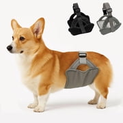 Colenumone Dog Diapers Male, 2 Pack Washable Male Dog Belly Band with Minimalist Narrow Strap, Pee Wraps for Doggie in Incontinence or Excitable Urination and Training Grey/Black