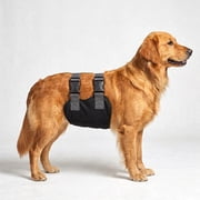 Colenumone Dog Diapers Male, Washable Male Dog Belly Band with Dual Minimalist Narrow Straps, Pee Wraps for Doggie in Incontinence or Excitable Urination and TrainingBlack