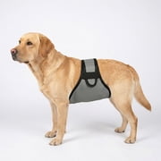 Colenumone Dog Diapers Male, Washable Male Dog Belly Band with Slim Comfort Hook and Loop Strap, Pee Wraps for Doggie in Incontinence or Excitable Urination and Training Gray