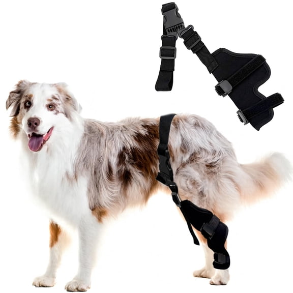 Colenumone Dog Rear Leg Sleeve, Universal Left or Right Hock Joint Recovery Protector, Breathable Anti-Lick Wound Cover for Post-Surgery & Injury Healing, Adjustable，4 sizes
