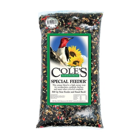 SPECIAL FEED BRD SEED10# (Pack of 1)